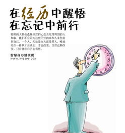 阅历是什么意思