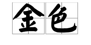 非对反义词是什么
