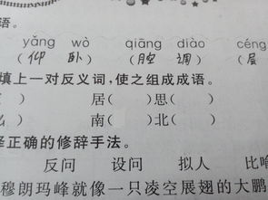 悲的反义词是什么字，物是人非的反义词