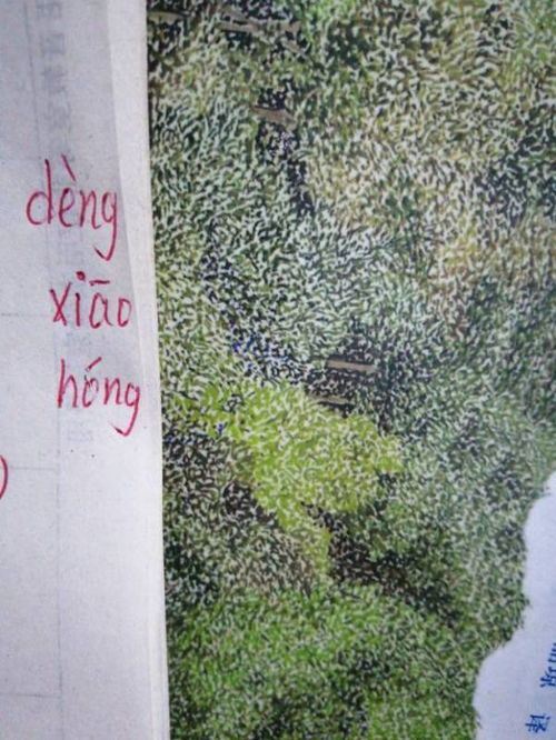 虹的拼音组词部首，虹的拼音和词语和偏旁