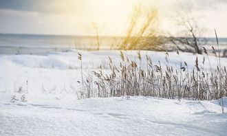 寒雨是什么季节的雨，寒雨连天夜入吴平明送客楚山孤是哪位诗人写的