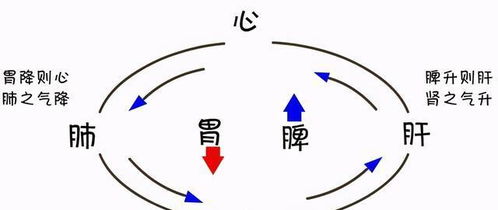 错杂的反义词狭窄的反义词坚实的反义词，错杂的反义词语是什么