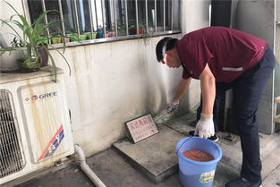 72只猫灭鼠行动，灭鼠行动是什么意思