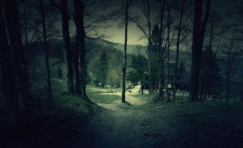 森林的森组词组什么，森林的森组词拼音