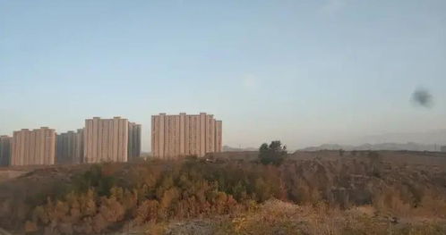 空地(环境学术语)详细资料大全