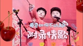 傻瓜才会爱上你，《傻瓜》歌词