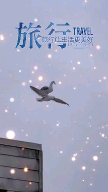 有空多赚钱没事早点睡,一辈子的事情,一夜也想不明白，有空的短语英文