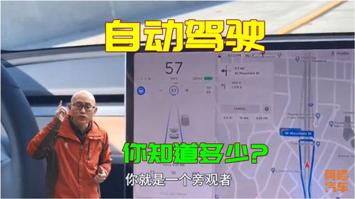 驾驭的真正意思