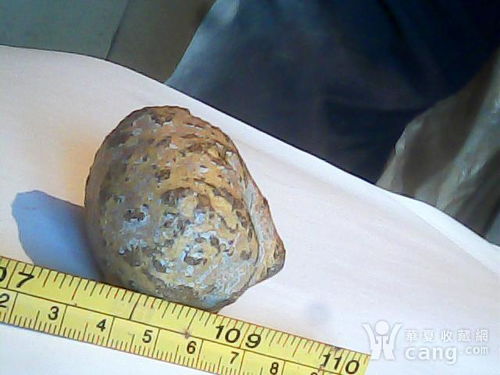 羊结石是什么原因造成的，羊结石图片一克多少钱