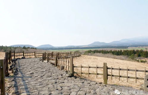 老虎为什么叫山君?