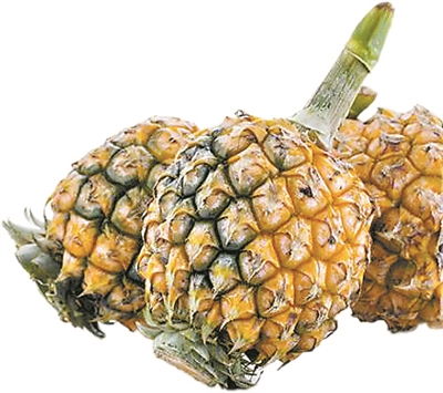 神湾菠萝月饼，神湾菠萝园