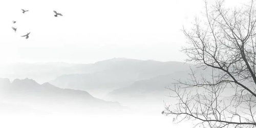 《酒泉子》(潘阆)文言文意思