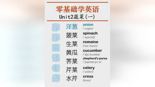 形容饭菜的词语，形容玩游戏很菜的词语