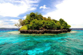 法属波利尼西亚大学概况