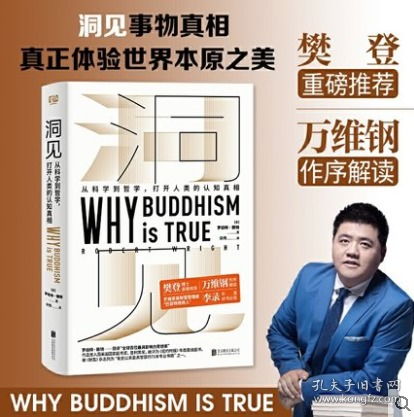 洞见是什么意思?