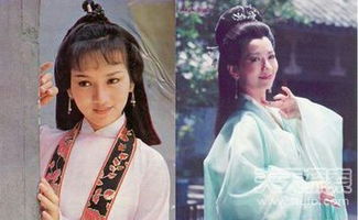 阴丽华和郭圣通，阴丽华的一生简介