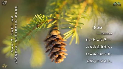 绿阳春新人踏歌是什么意思，忽闻岸上踏歌声什么意思解释一下