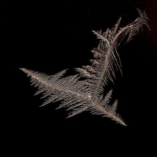 瑰丽的拼音，瑰丽情仇 电视剧