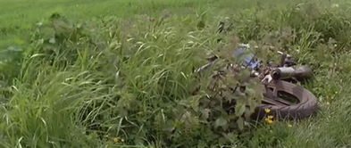 知政失者在草野 知屋漏者在宇下,怎么理解