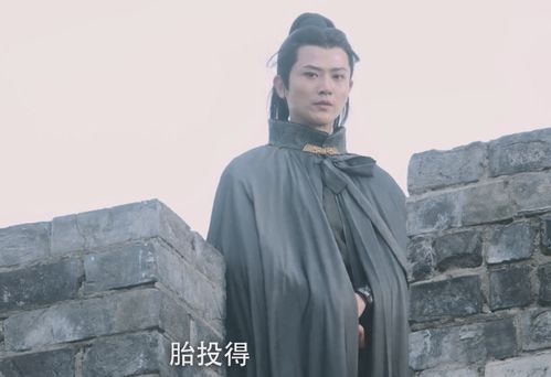 赵楷是谁演，赵楷什么境界