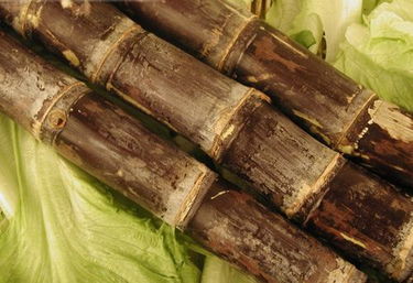 甘蔗的读音是第几声，甘蔗的读音和组词