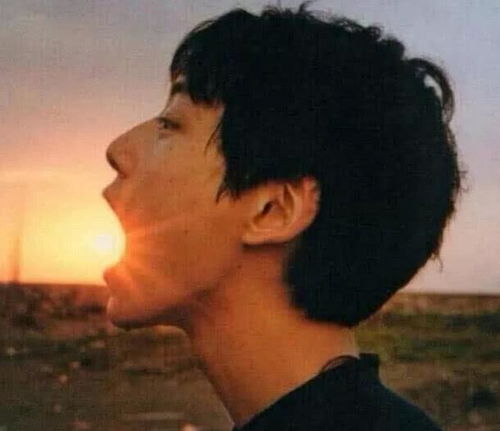 It's So Easy 歌词。中文.