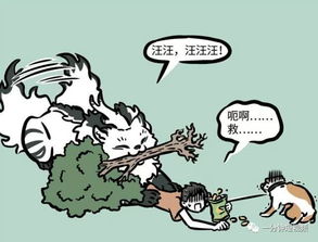 与其不如是什么关系