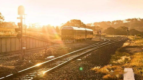 广袤无垠什么意思