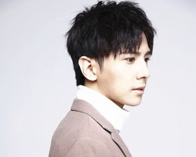 龚平洋，龚平安
