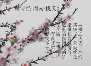 诗经 的主要表现手法是什么