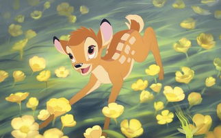 小路的英文怎么说，小鹿的英文名