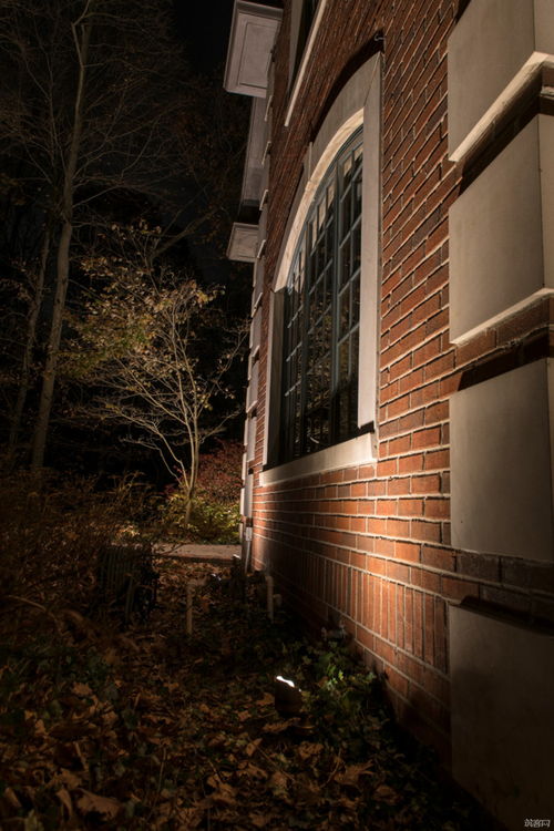 seclusion词根词缀，seclusion laur