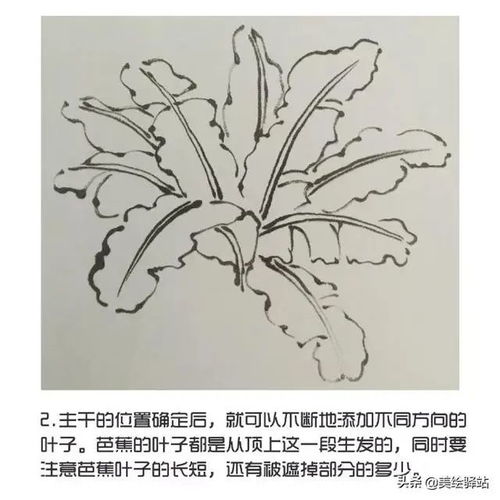 香蕉怎么画简单又漂亮好看