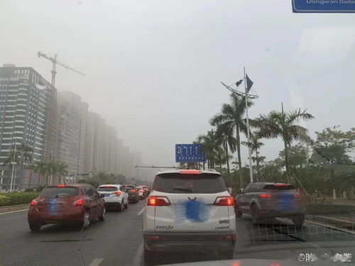广西迎来特大暴雨，广西防城港一周天气预报