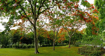沧州天气南皮天气预报，南皮天气预报十五天