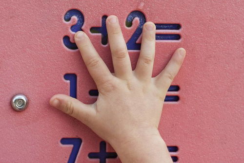 早晨拼音怎么写，路拼音怎么写