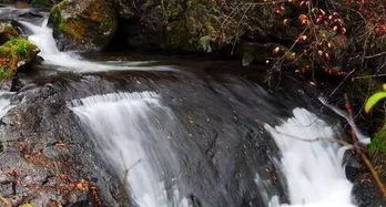 嵁怎么读音是什么