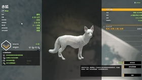 荒野拼音解释及造句