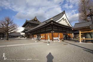 kyoto是日本哪个城市