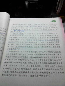 词语指的是什么