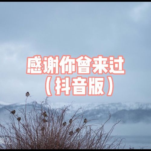 发如雪歌词表达的情感，发如雪歌词歌曲
