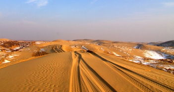 内蒙古通辽市扎鲁特旗气象台发布大风蓝色预警[IV级/一般]