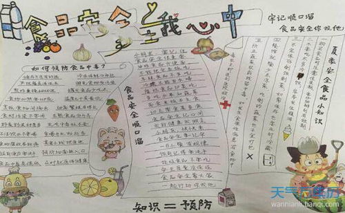 安全在我心中作文300字，安全在我心中作文800