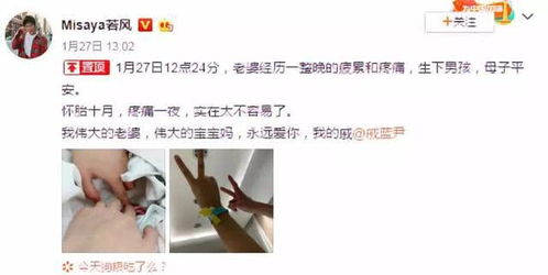 粉丝每天在催婚txt百度云网盘