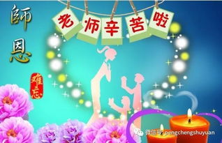 感恩老师的优美句子 经典，感恩老师的诗句