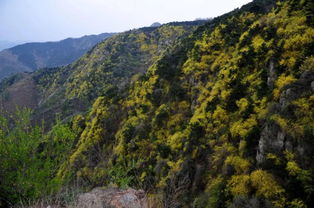 跑马岭景区门票价格，跑马岭景区在哪里