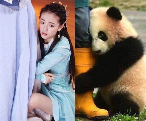 猫咪抱大腿什么意思，抱大腿什么意思女生