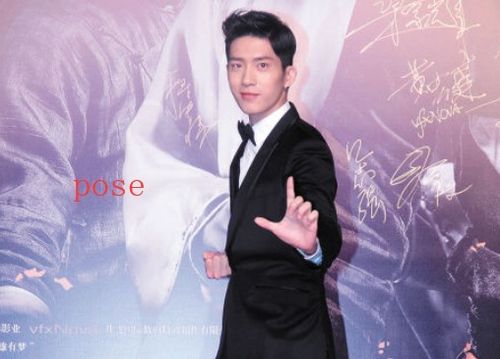 pos是什么意思，不会摆pose是什么意思