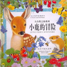 小鹿英文怎么读