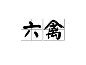 禽怎么读什么意思